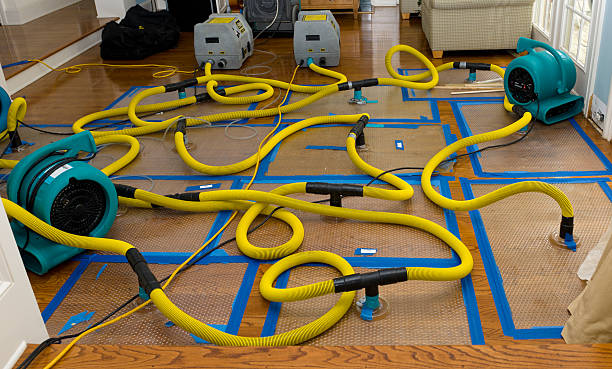 Professional Water Damage Repair technician working in Mooreland, IN